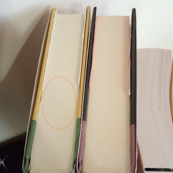 3 Book Bundle Historical Romances Pink Carnation Set by Lauren Willig - Picture 12 of 16